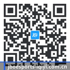 系统版 iOS 二维码